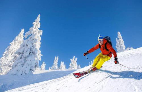 1st Floor Mountain View Suite Ski On Off At Jiminy- Fully Redone Decor - Foto 31