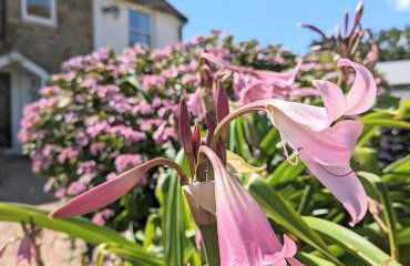 Humphries Cross Apartments - Foto 17