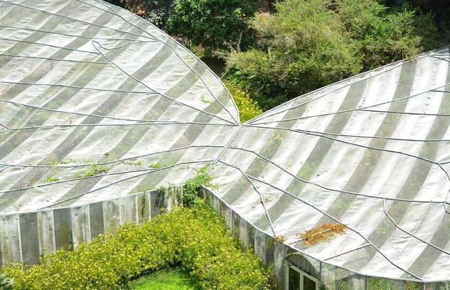 Quindíos Botanischer Garten - Halbtages-Tour - Foto 1