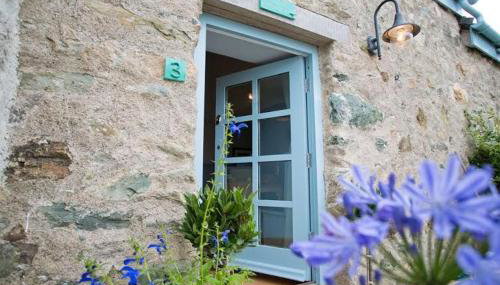 Oyster Catcher - Photo 3