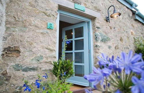 Oyster Catcher - Foto 3