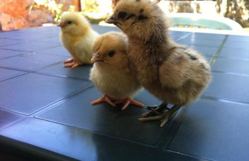 Agriturismo Agave - Photo 58