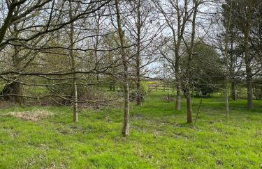 Entire flat 2 to 4 pers 1 bed 1 bath disabled access for limited disability - Foto 21