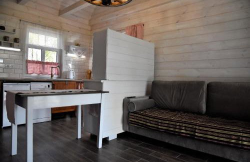 Dom na Starym Gościńcu Tiszyna - Foto 60