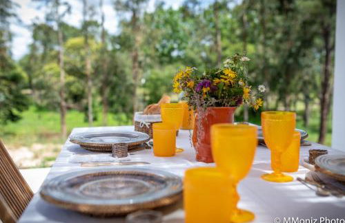 Casas da Horta - Photo 14