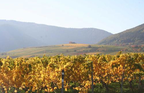 Ferienwohnung Spatzennest in Edesheim - Foto 23