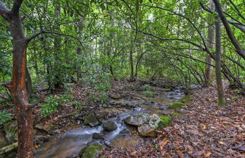 Creekside Cottage Blue Ridge Mountain Escape! - Foto 24
