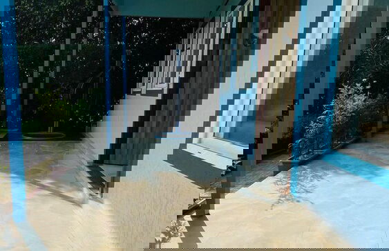 Wiseone Choice Farm - Foto 20