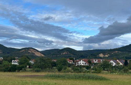 Expat Apartment Furnished Near Heidelberg Center - Foto 56