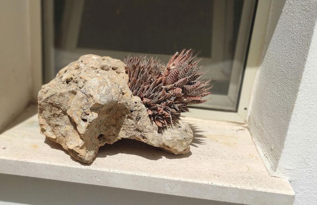 Casa Eleonora in Veglie - Foto 16