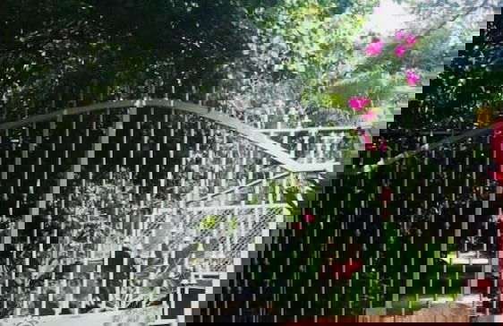 Apartamentos Massai - Foto 2