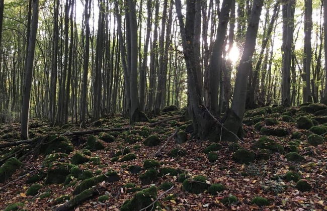 Cozy Apartment in Ellar With Garden - Foto 56