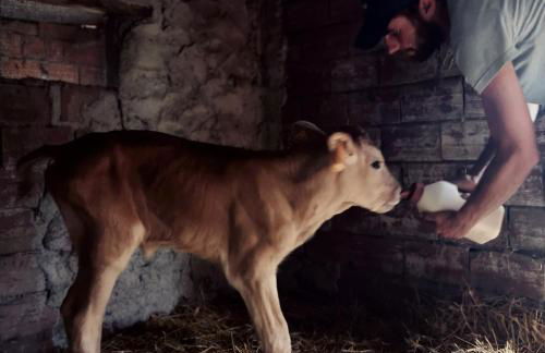 Fattoria Tolomei - Foto 13