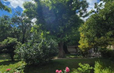 Sublime Mas de Lou à 15 minutes d'Arles - Foto 54