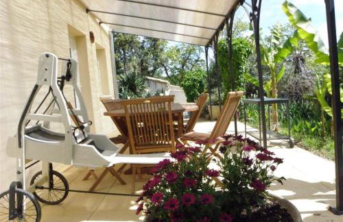 Les bananiers - Foto 11