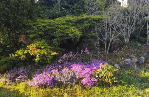 Biały Dzik Uszyszek - Foto 14