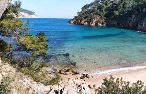 Apartamento Lliris Atico - Foto 32