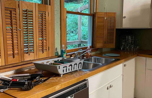 Treetops in Town - Foto 3