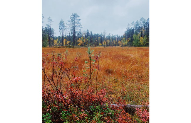 Sallan lumous a - Photo 24