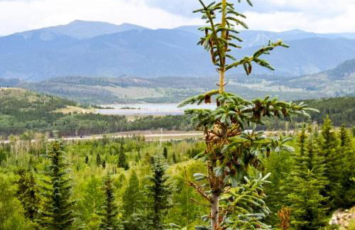 Buffalo Woods 216 - Wildernest - Foto 33