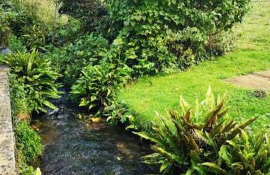 Holland Cottage - Foto 13