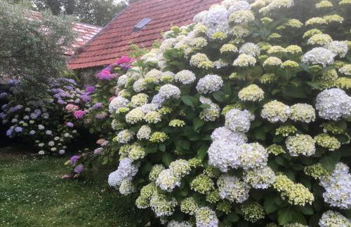 FERME Rénovée 300m de la Mer POINTE DU RAZ jusqu'à 9 Couchages LOCATION 7 jours du Samedi au Samedi minimum - Foto 13