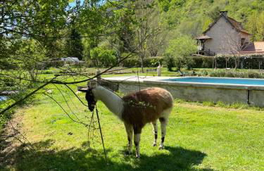 Les Pieds dans l'eau, Gîte Le Blagour - Foto 6