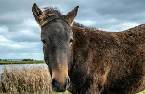 The Coach House - Foto 46