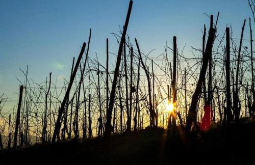 Apartment with large covered terrace, in small residence with swimming pool - Foto 7