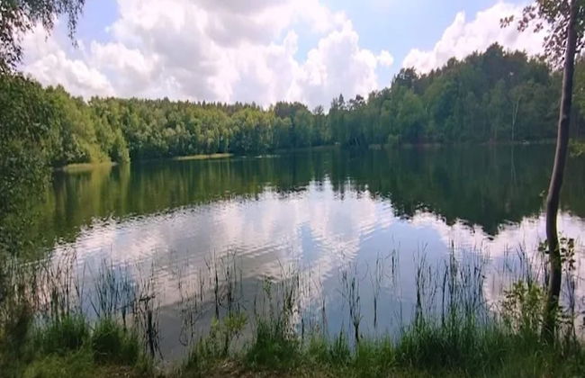 Bungalows am Vordersee, Dobbrikow - Foto 32