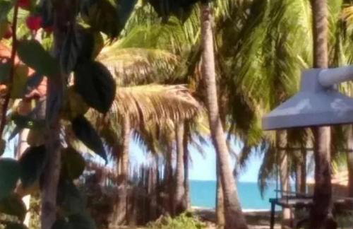 Bem vindo ao mar - Foto 3