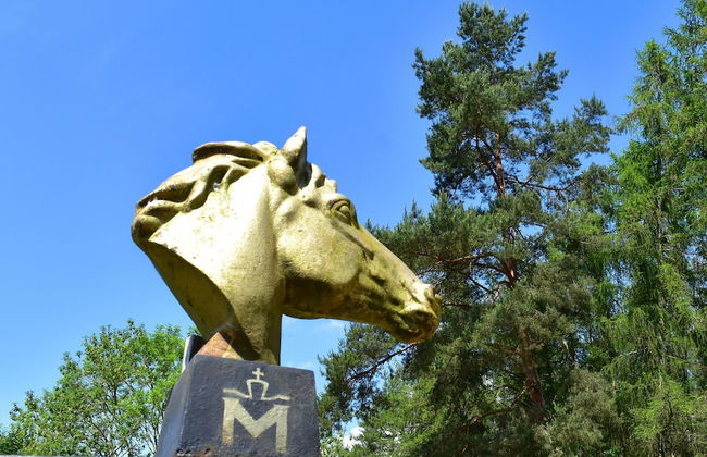 Ferienhaus am Garder See Inselblick - Foto 46