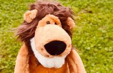 Quiet Nature Near Cologne 2 - Foto 14