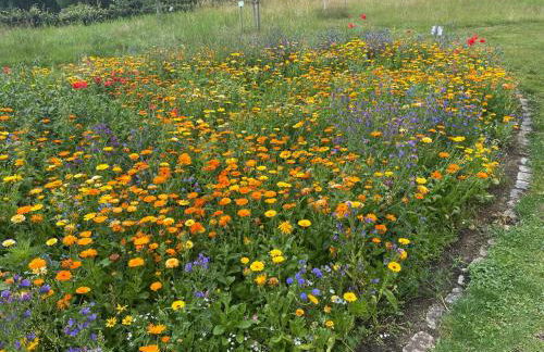 Jannes Wohnung - Foto 21