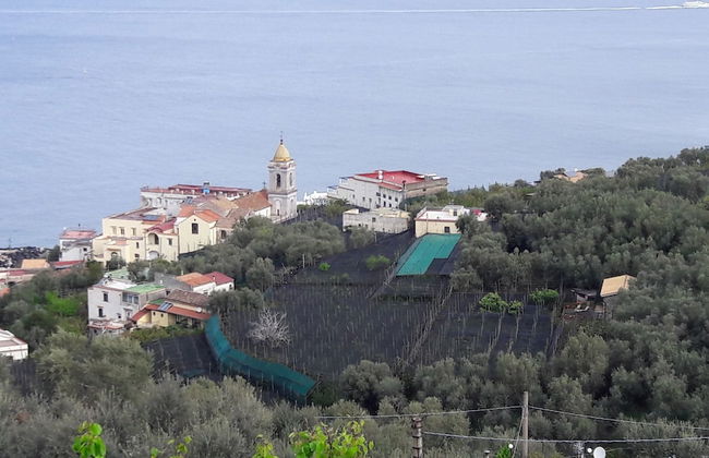 Agriturismo La Lobra - Foto 55