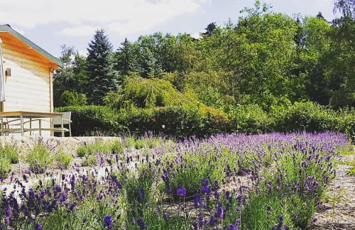 Chalet "Waldhauszeit" am See - Photo 10