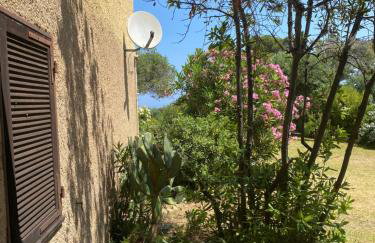 Cassetta 92 Marie-Pierre - Foto 47