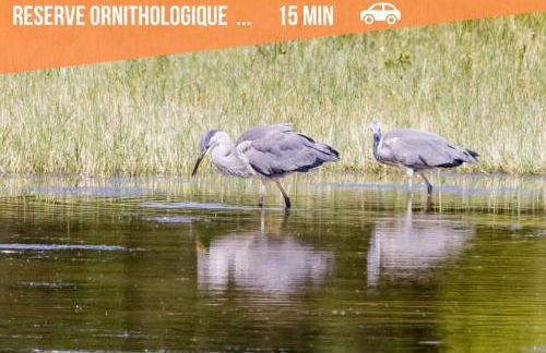 Le Gîte d’en Bas-St Valery à 15min-Équipement bébé - Foto 49