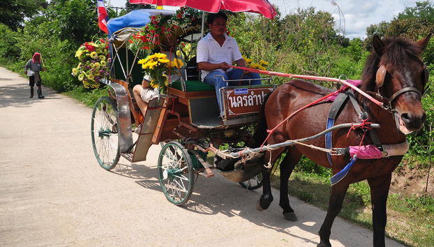 Desde Lampang a Chiang Mai - Privado - Foto 3