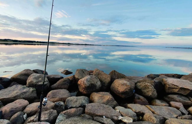 8 Person Holiday Home in Holbaek - Foto 31