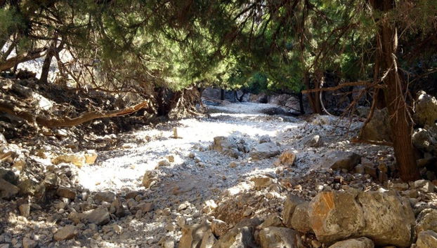 Imbros Gorge - Full-Day Tour - Photo 4