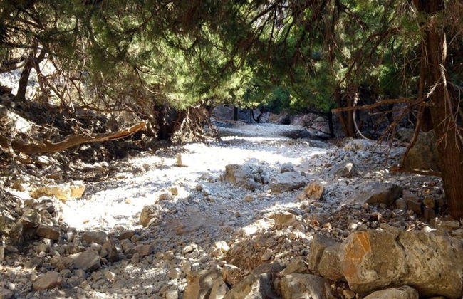 Garganta de Imbros - Tour de Dia Inteiro - Foto 4