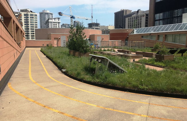 Altitude Suites on Yonge - Foto 63