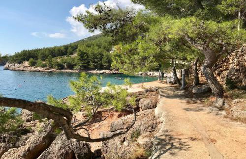 Apartments Nautic - Foto 13