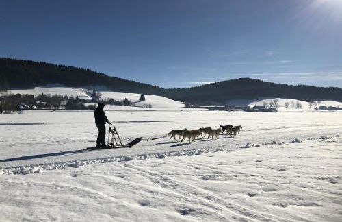 Appartement Les Ptits Loups - Foto 26