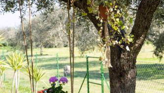 Casa Vacanze Oleandri - Photo 5, Garden