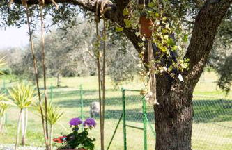 Casa Vacanze Oleandri - Photo 5