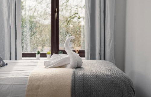 Large 5BR Home - Ideal for Contractors - Parking Available - Photo 26