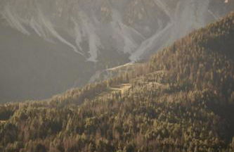 Ferienwohnungen Kuentnerhof - Foto 11