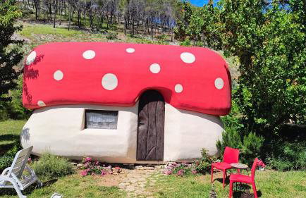Mushroom house - Sleeps 4 - Pets Ok - Parking - Foto 15